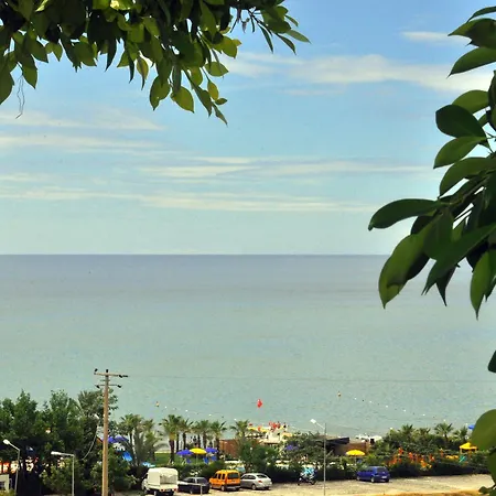 Blue Night Hotel 3*